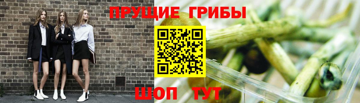 Ленинск-Кузнецкий  Псилоцибиновые грибы Psilocybine cubensis  купить наркоту  Псилоцибиновые грибы GOLDEN TEACHER  Вход с VPN 